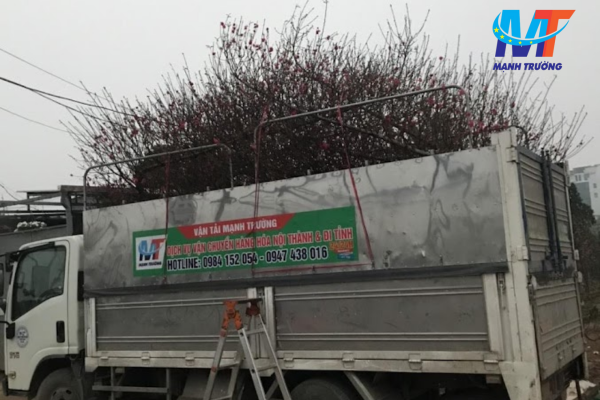 Lưu ý thuê xe vận chuyển đồ Hà Nội của Mạnh Trường