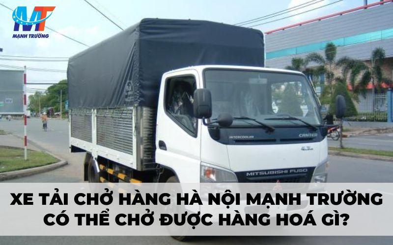 Xe tải chở hàng Hà Nội Mạnh Trường có thể chở được hàng hoá gì?
