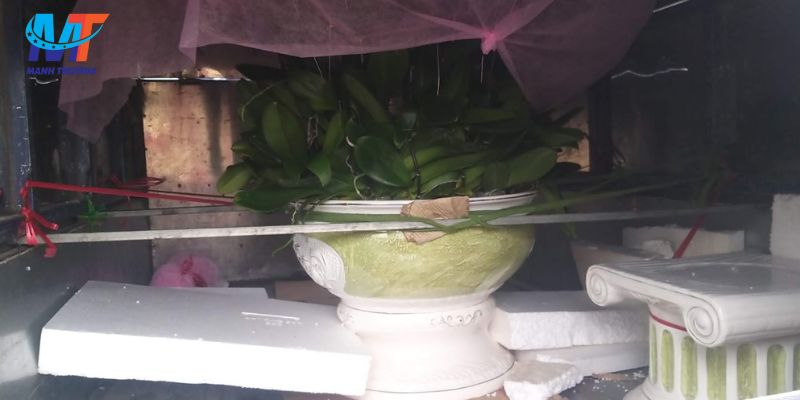 Mạnh Trường đóng gói chậu cảnh cẩn thận khi khách hàng sử dụng dịch vụ vận chuyển Hà Đông Hà Nội