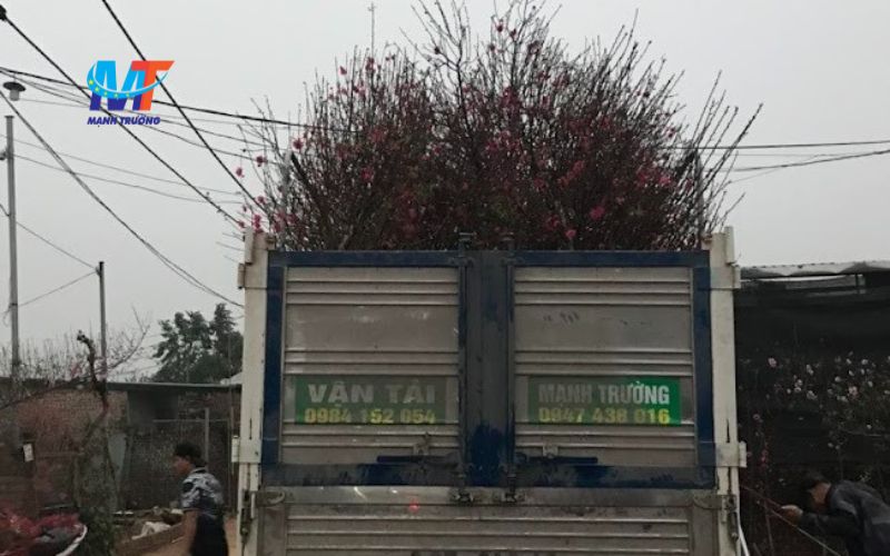 xe tải 500 kg chở hàng