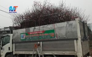 Xe tải chở xe máy