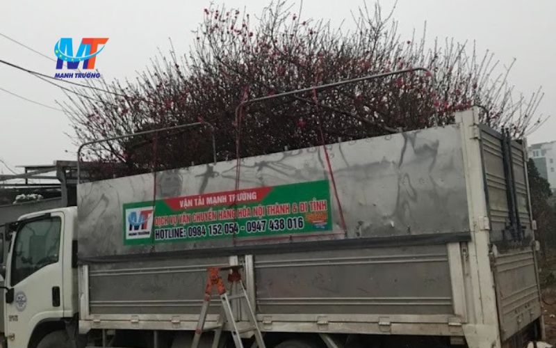 Xe tải nhỏ