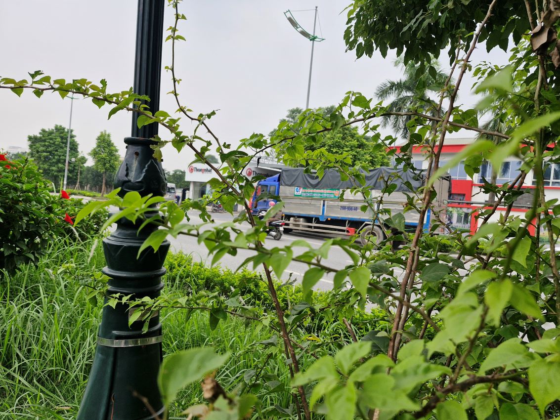 Dưới đây là bảng giá tham khảo cho dịch vụ thuê xe tải 10 tấn đi tỉnh. Lưu ý rằng giá có thể thay đổi tùy thuộc vào quãng đường, loại hàng hóa, và thời điểm thuê xe.