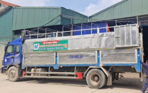 xe tải trọng lớn cho doanh nghiệp