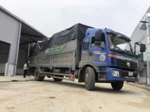Khi bạn cần thuê xe vận chuyển đồ nhà, nhu cầu lớn nhất thường là tìm được phương tiện phù hợp tải trọng,